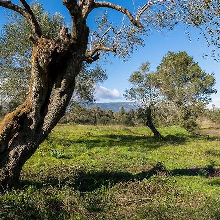 Lejlighed Merlyn Into The Nature, 100m From The Dafnila